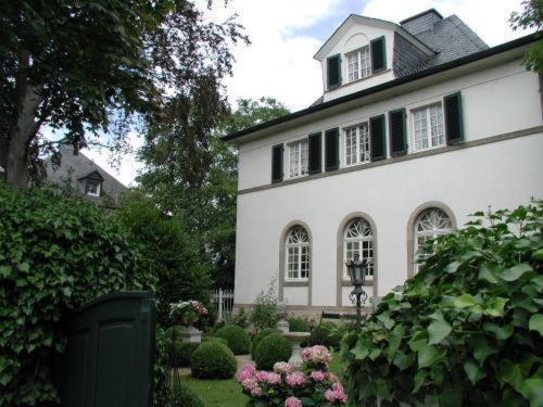 Bastgen Bed & Breakfast Hotel Wittlich Exterior foto